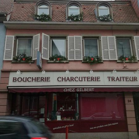 "Cote Nature", Appartement Cosy Au Coeur De Munster Munster  Ngoại thất bức ảnh