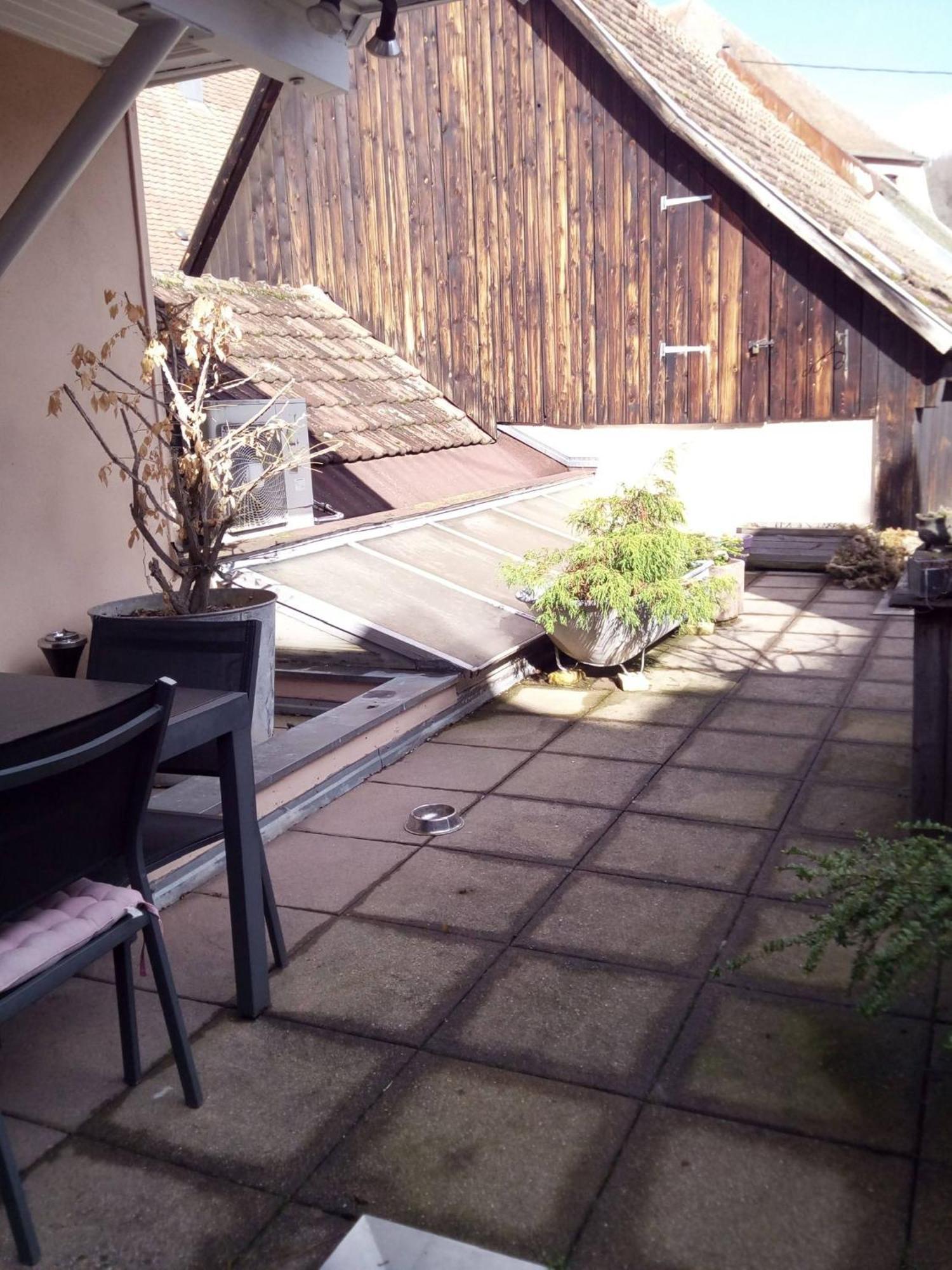 "Cote Nature", Appartement Cosy Au Coeur De Munster Munster  Ngoại thất bức ảnh