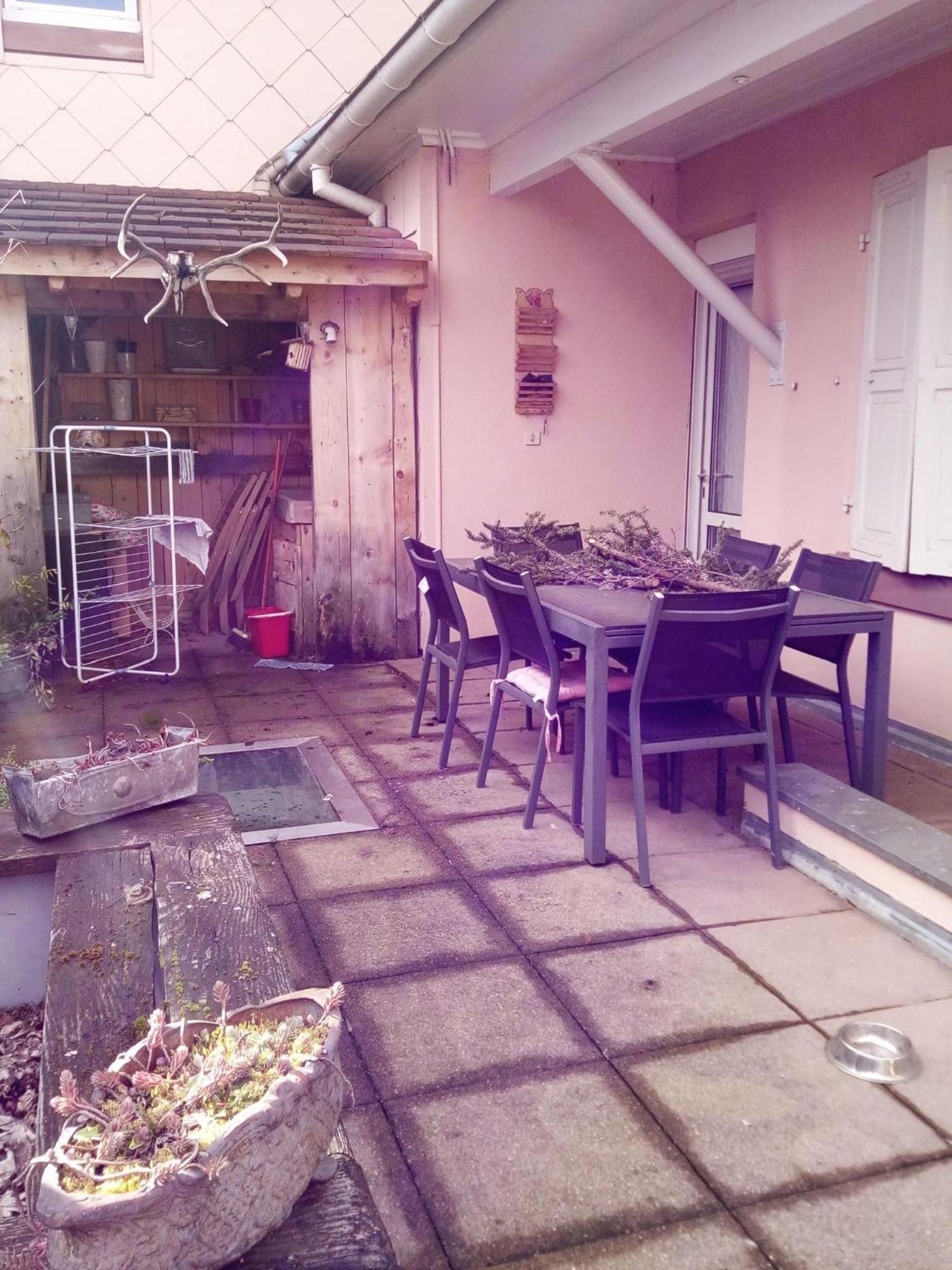 "Cote Nature", Appartement Cosy Au Coeur De Munster Munster  Ngoại thất bức ảnh